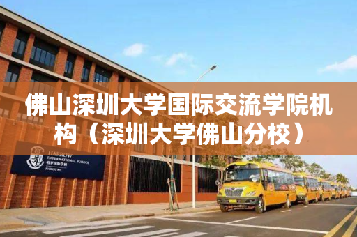 佛山深圳大学国际交流学院机构（深圳大学佛山分校）