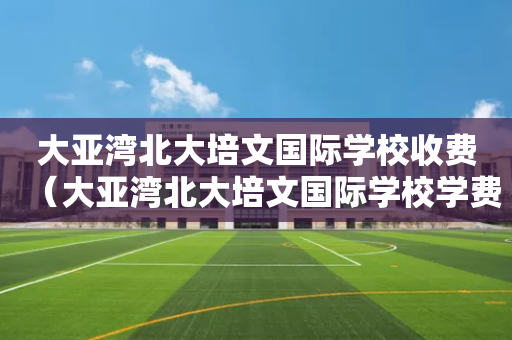 大亚湾北大培文国际学校收费（大亚湾北大培文国际学校学费）