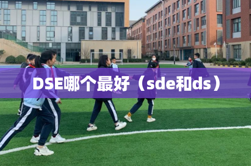 DSE哪个最好（sde和ds）
