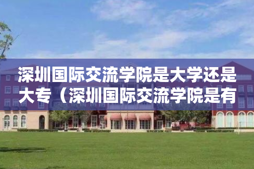 深圳国际交流学院是大学还是大专（深圳国际交流学院是有钱人读的吗）