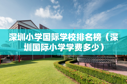 深圳小学国际学校排名榜（深圳国际小学学费多少）