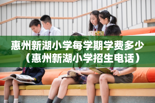 惠州新湖小学每学期学费多少（惠州新湖小学招生电话）