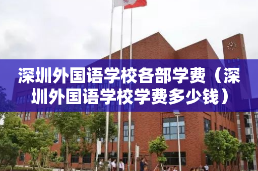 深圳外国语学校各部学费（深圳外国语学校学费多少钱）
