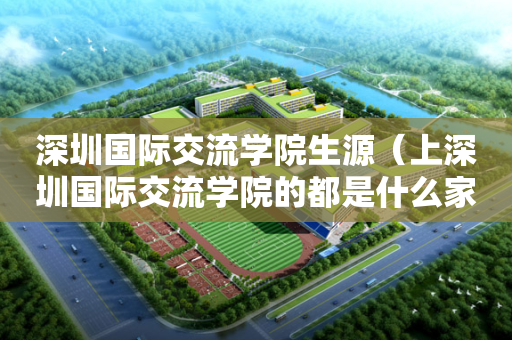 深圳国际交流学院生源（上深圳国际交流学院的都是什么家庭）