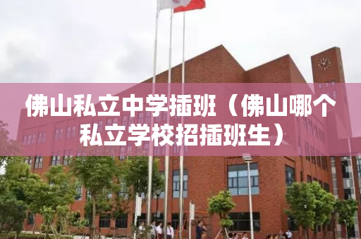 佛山私立中学插班（佛山哪个私立学校招插班生）