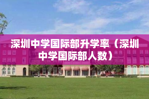 深圳中学国际部升学率（深圳中学国际部人数）