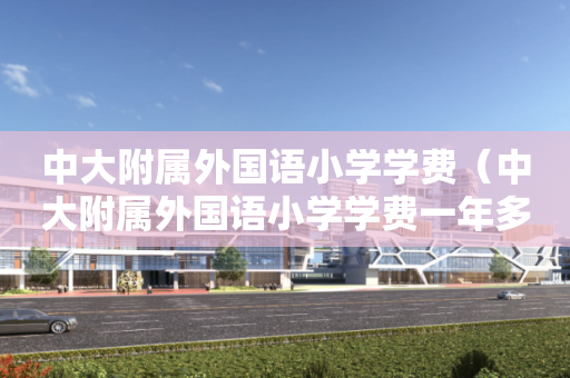 中大附属外国语小学学费（中大附属外国语小学学费一年多少）
