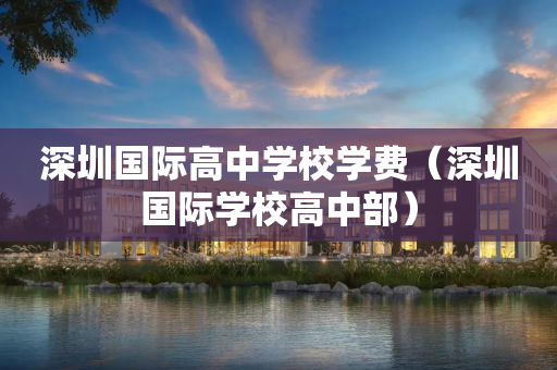 深圳国际高中学校学费（深圳国际学校高中部）
