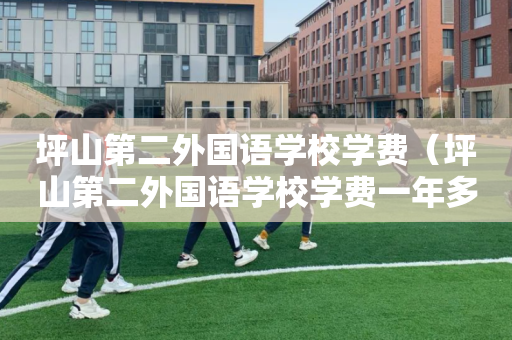 坪山第二外国语学校学费（坪山第二外国语学校学费一年多少）