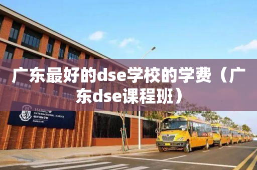 广东最好的dse学校的学费（广东dse课程班）