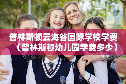 普林斯顿云海谷国际学校学费（普林斯顿幼儿园学费多少）