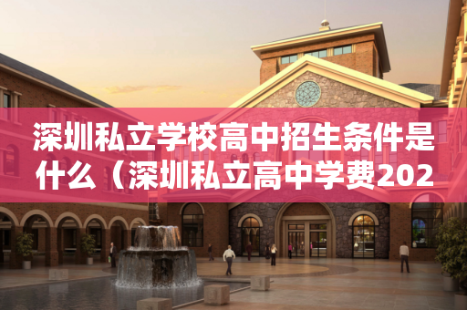 深圳私立学校高中招生条件是什么（深圳私立高中学费2020标准）