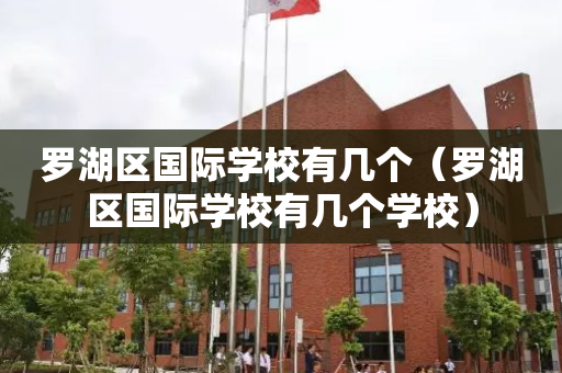罗湖区国际学校有几个（罗湖区国际学校有几个学校）