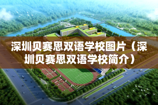 深圳贝赛思双语学校图片（深圳贝赛思双语学校简介）