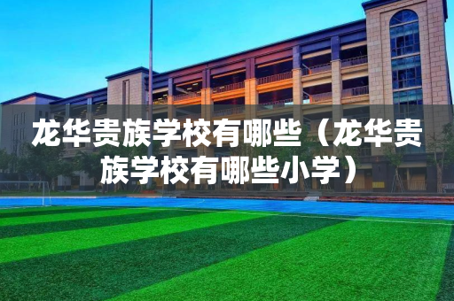 龙华贵族学校有哪些（龙华贵族学校有哪些小学）