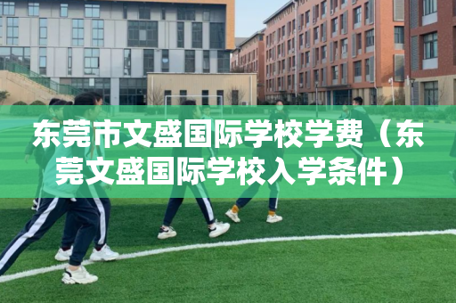 东莞市文盛国际学校学费（东莞文盛国际学校入学条件）