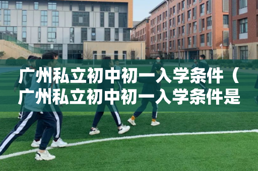 广州私立初中初一入学条件（广州私立初中初一入学条件是什么）