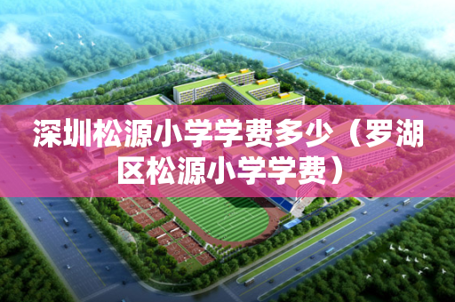 深圳松源小学学费多少（罗湖区松源小学学费）