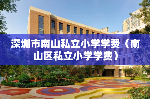 深圳市南山私立小学学费（南山区私立小学学费）