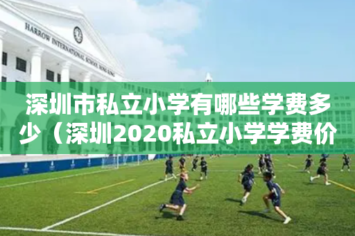 深圳市私立小学有哪些学费多少（深圳2020私立小学学费价目表）