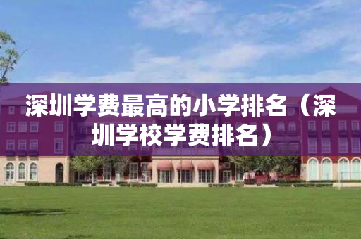 深圳学费最高的小学排名（深圳学校学费排名）