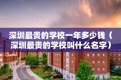深圳最贵的学校一年多少钱（深圳最贵的学校叫什么名字）