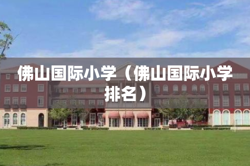 佛山国际小学（佛山国际小学排名）