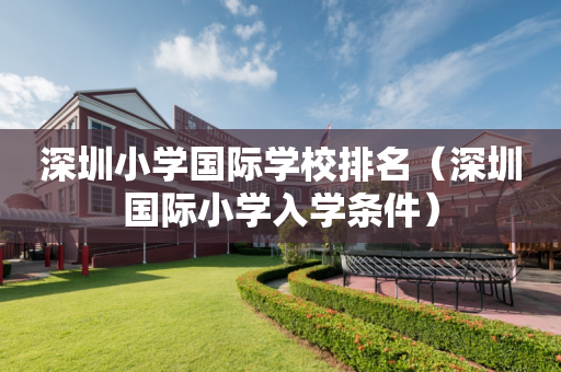 深圳小学国际学校排名（深圳国际小学入学条件）