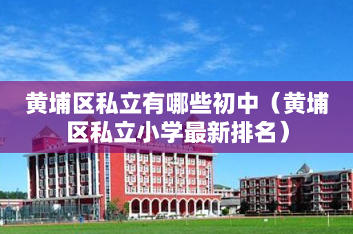 黄埔区私立有哪些初中（黄埔区私立小学最新排名）