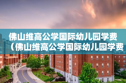佛山维高公学国际幼儿园学费（佛山维高公学国际幼儿园学费多少）