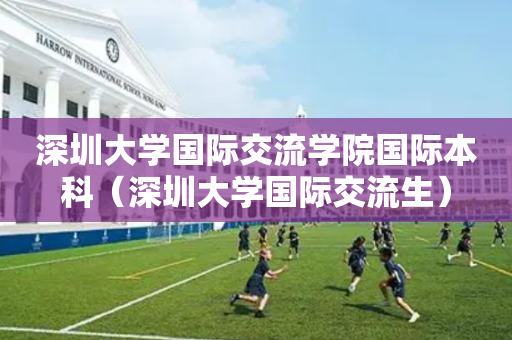 深圳大学国际交流学院国际本科（深圳大学国际交流生）