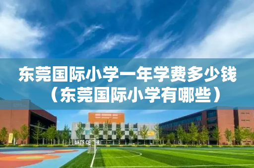 东莞国际小学一年学费多少钱（东莞国际小学有哪些）