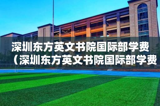 深圳东方英文书院国际部学费（深圳东方英文书院国际部学费多少）