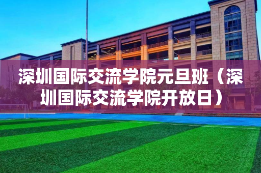 深圳国际交流学院元旦班（深圳国际交流学院开放日）