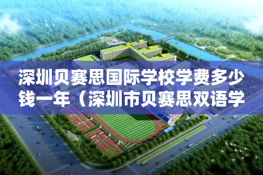 深圳贝赛思国际学校学费多少钱一年（深圳市贝赛思双语学校学费）