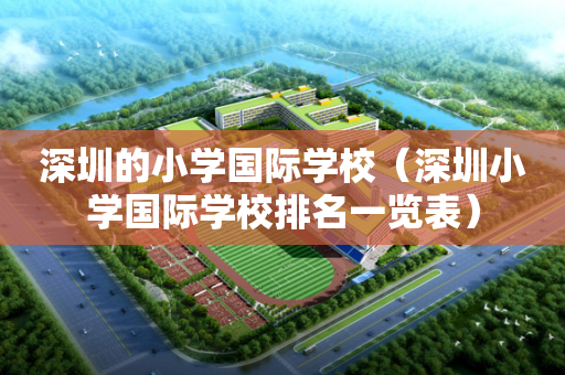 深圳的小学国际学校（深圳小学国际学校排名一览表）