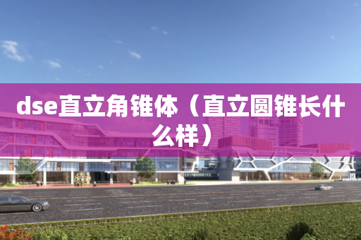 dse直立角锥体（直立圆锥长什么样）