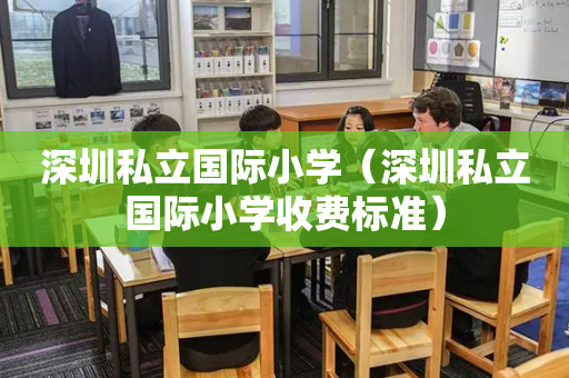 深圳私立国际小学（深圳私立国际小学收费标准）