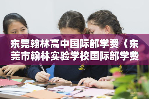 东莞翰林高中国际部学费（东莞市翰林实验学校国际部学费）