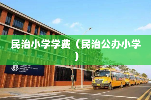 民治小学学费（民治公办小学）