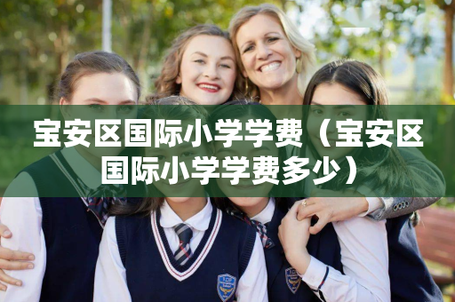 宝安区国际小学学费（宝安区国际小学学费多少）