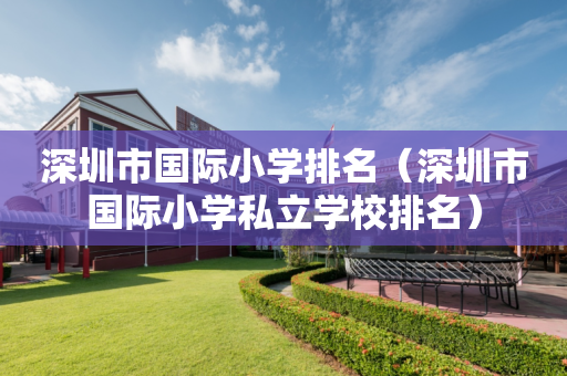 深圳市国际小学排名（深圳市国际小学私立学校排名）