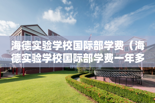 海德实验学校国际部学费（海德实验学校国际部学费一年多少）