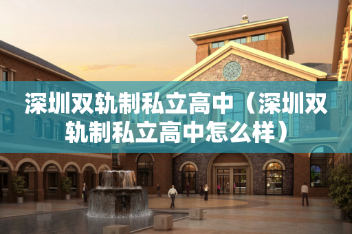 深圳双轨制私立高中（深圳双轨制私立高中怎么样）