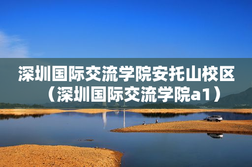 深圳国际交流学院安托山校区（深圳国际交流学院a1）