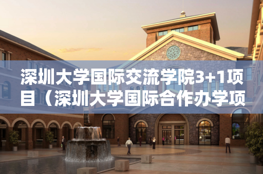 深圳大学国际交流学院3+1项目（深圳大学国际合作办学项目）