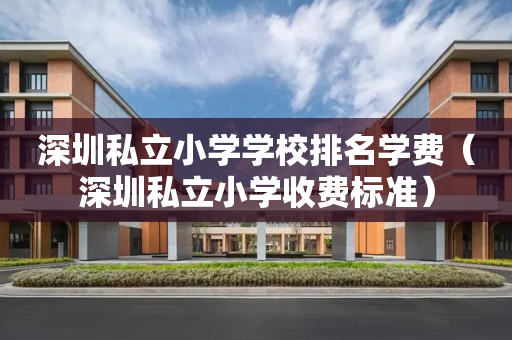 深圳私立小学学校排名学费（深圳私立小学收费标准）