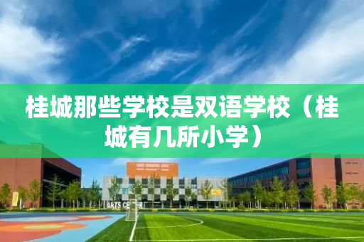 桂城那些学校是双语学校（桂城有几所小学）