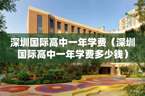 深圳国际高中一年学费（深圳国际高中一年学费多少钱）