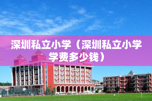深圳私立小学（深圳私立小学学费多少钱）